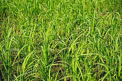 《英雄不再》主创：希望继续与任天堂合作重启旧作