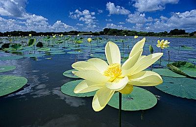 电影《玩具熊的五夜后宫》宣传片 10月27日上映